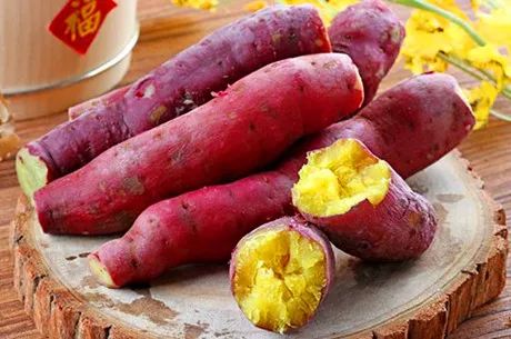 /gb2312/xianqugonghui/12622.html